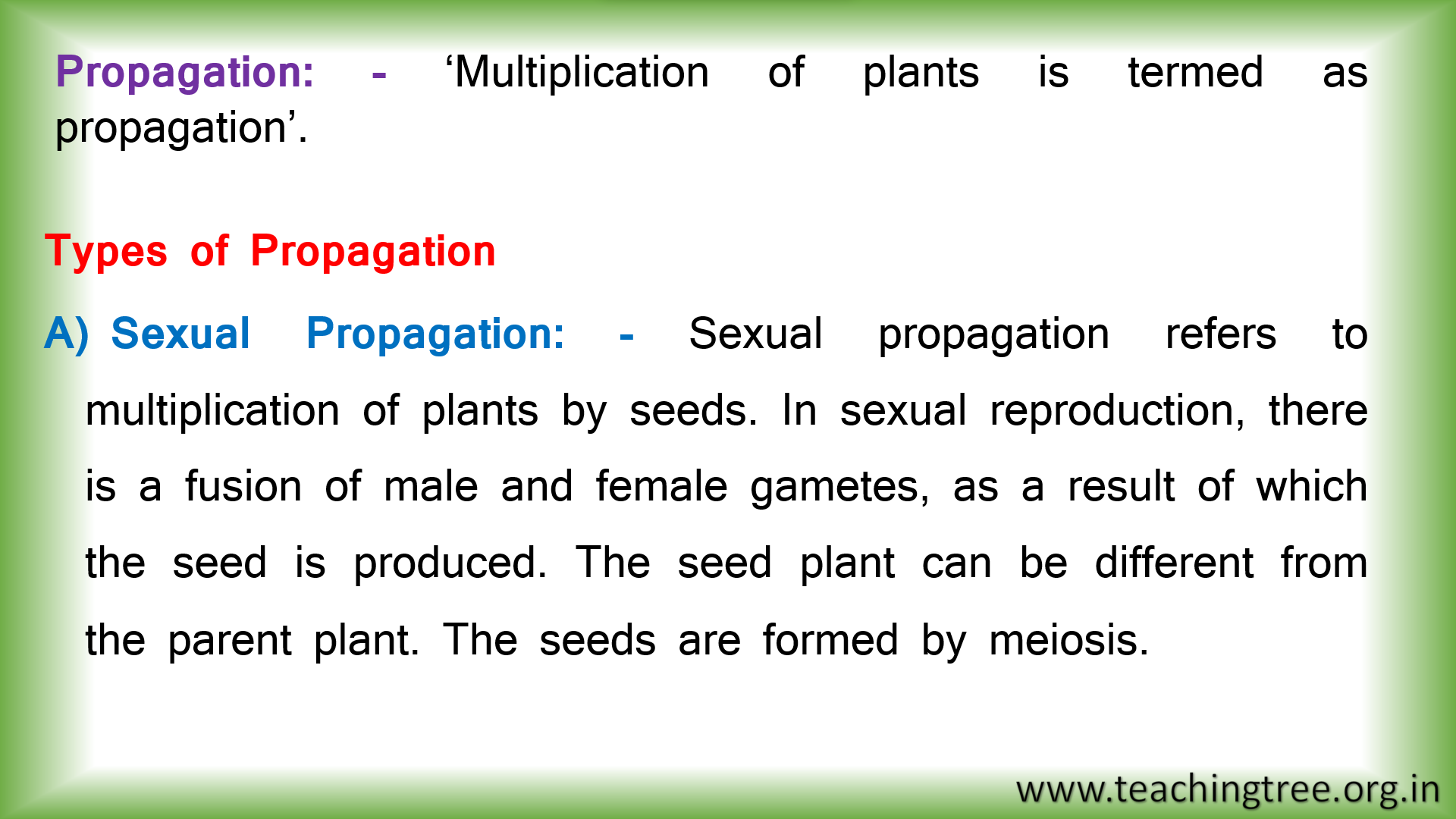 Plant Propagation PPT