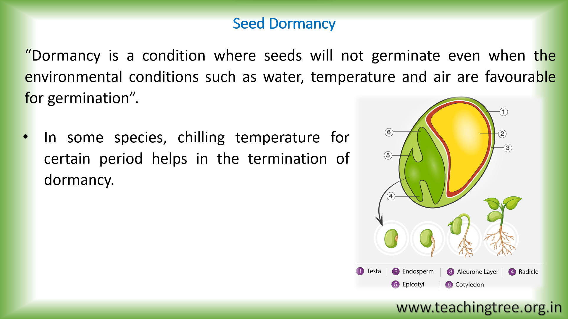 Seed Dormancy PPT