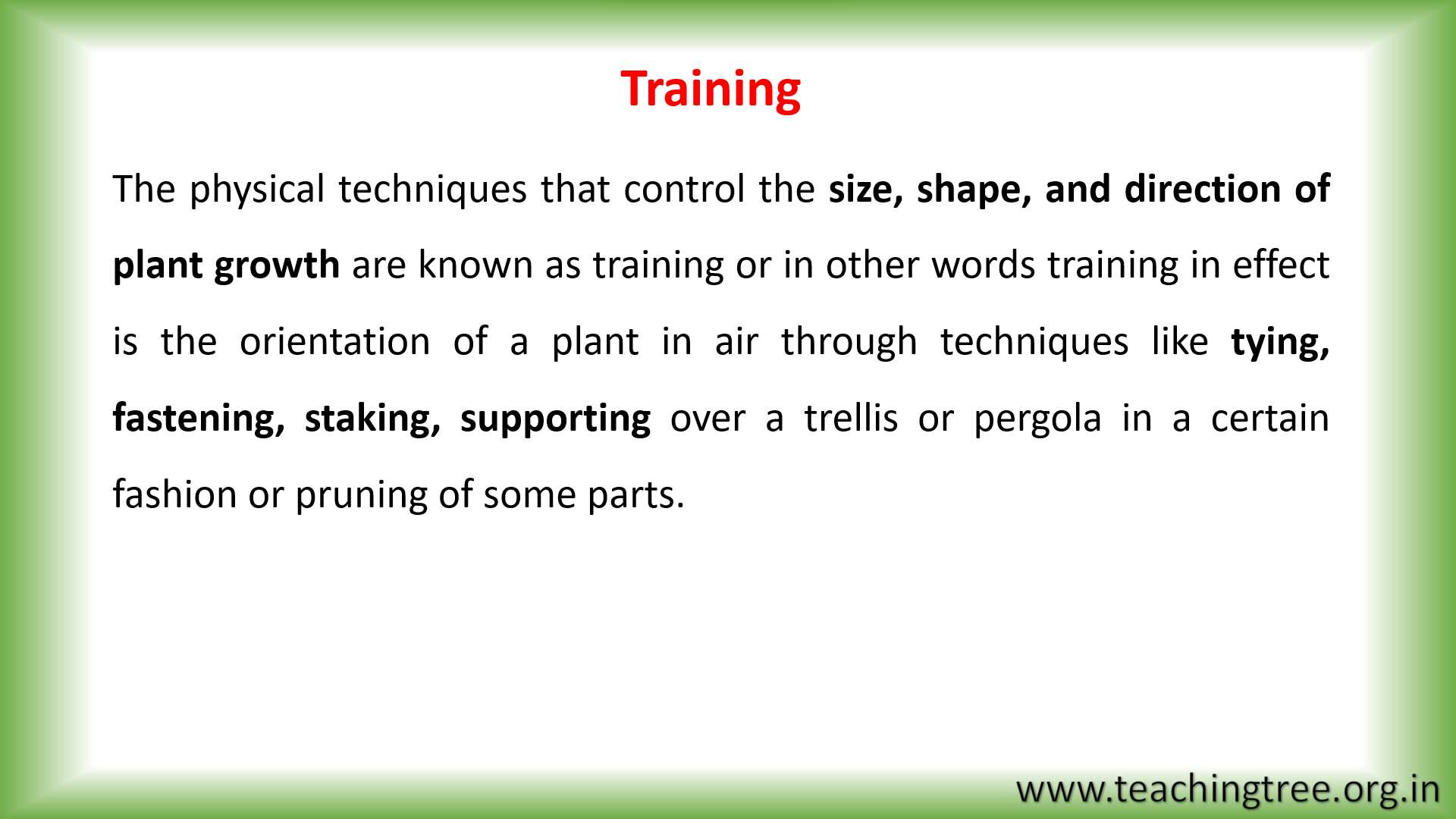 Training and Pruning PPT