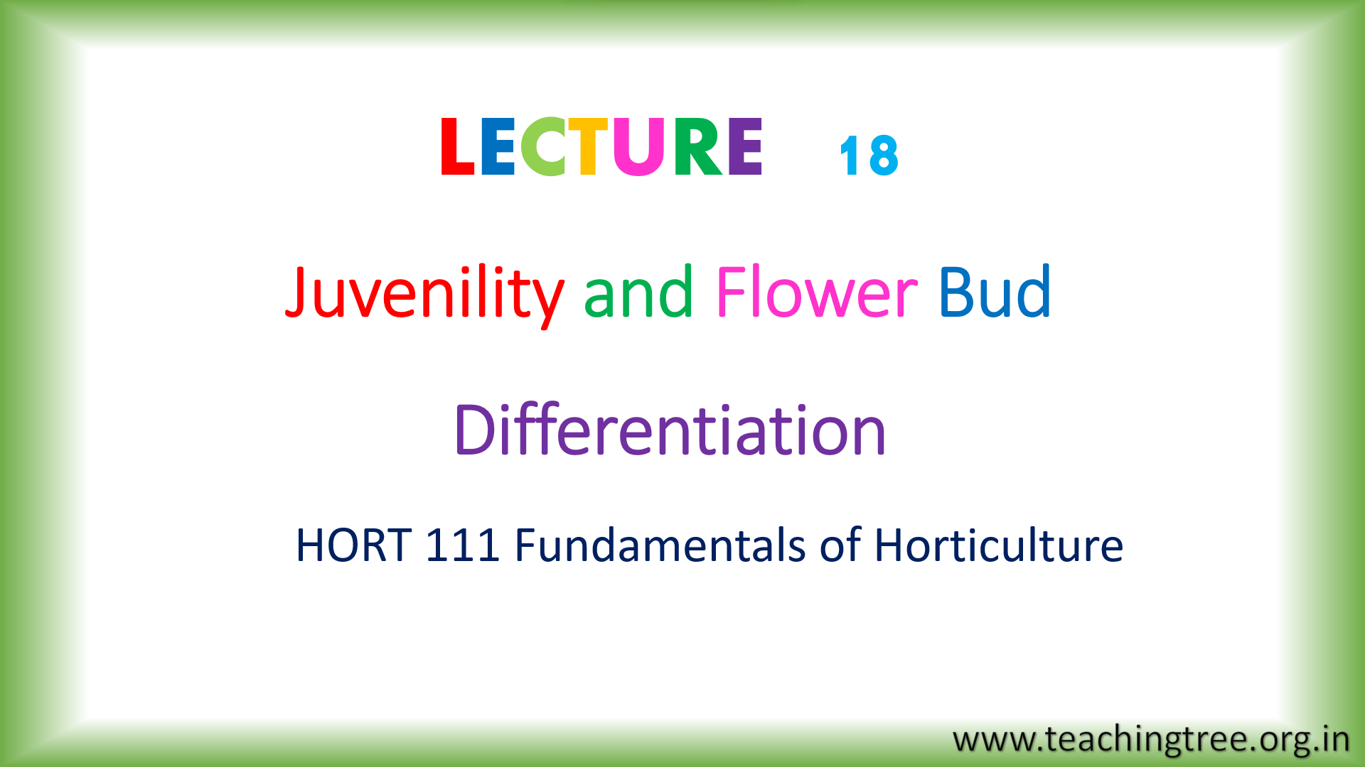 Juvenility and Flower Bud Differentiation PPT