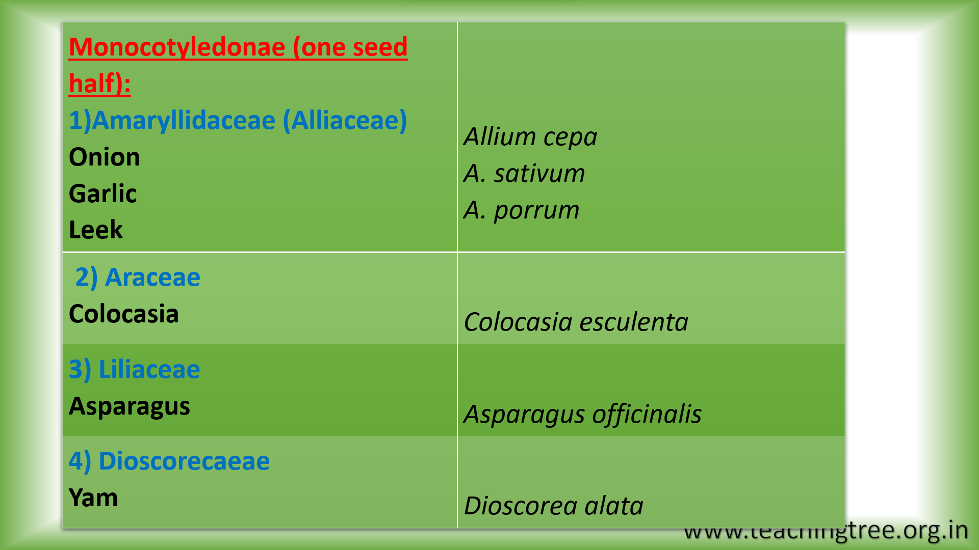 Classification of Vegetable Crops PPT
