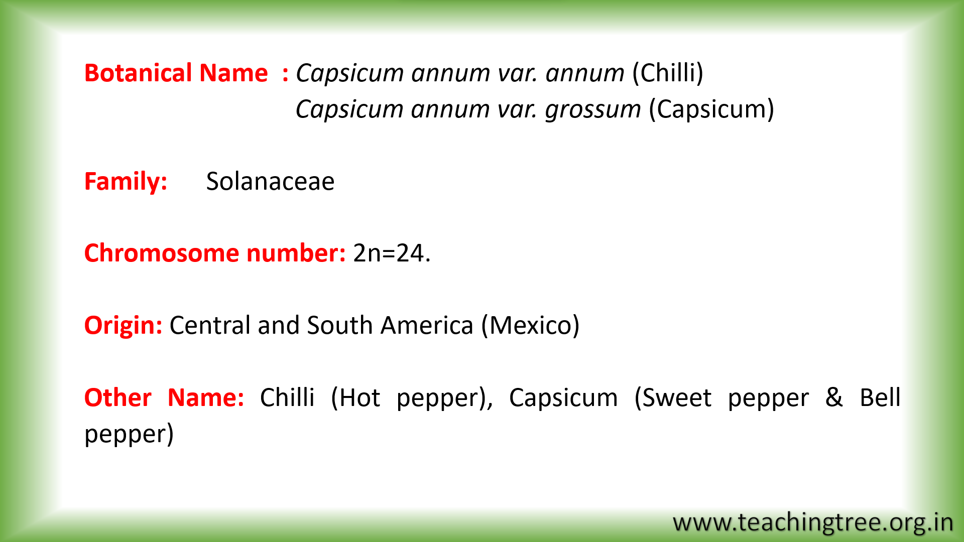 Chilli and Capsicum PPT