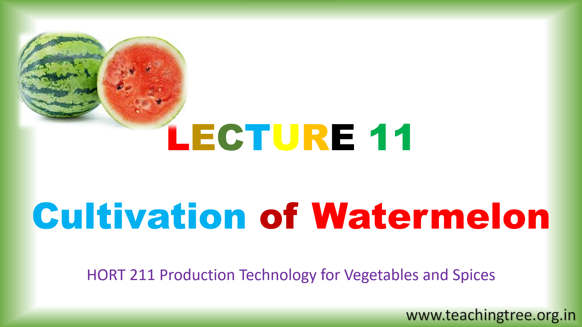 Watermelon Cultivation PPT