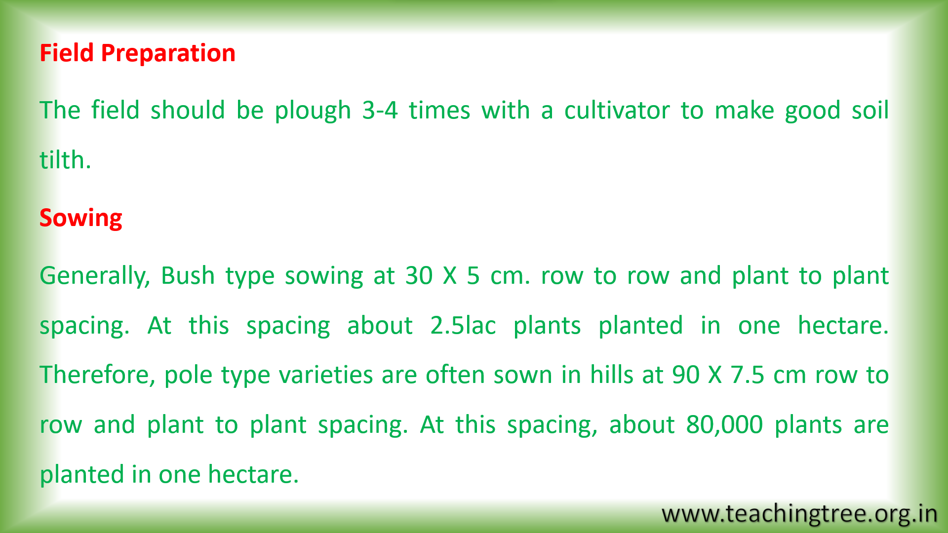 French Bean Cultivation PPT