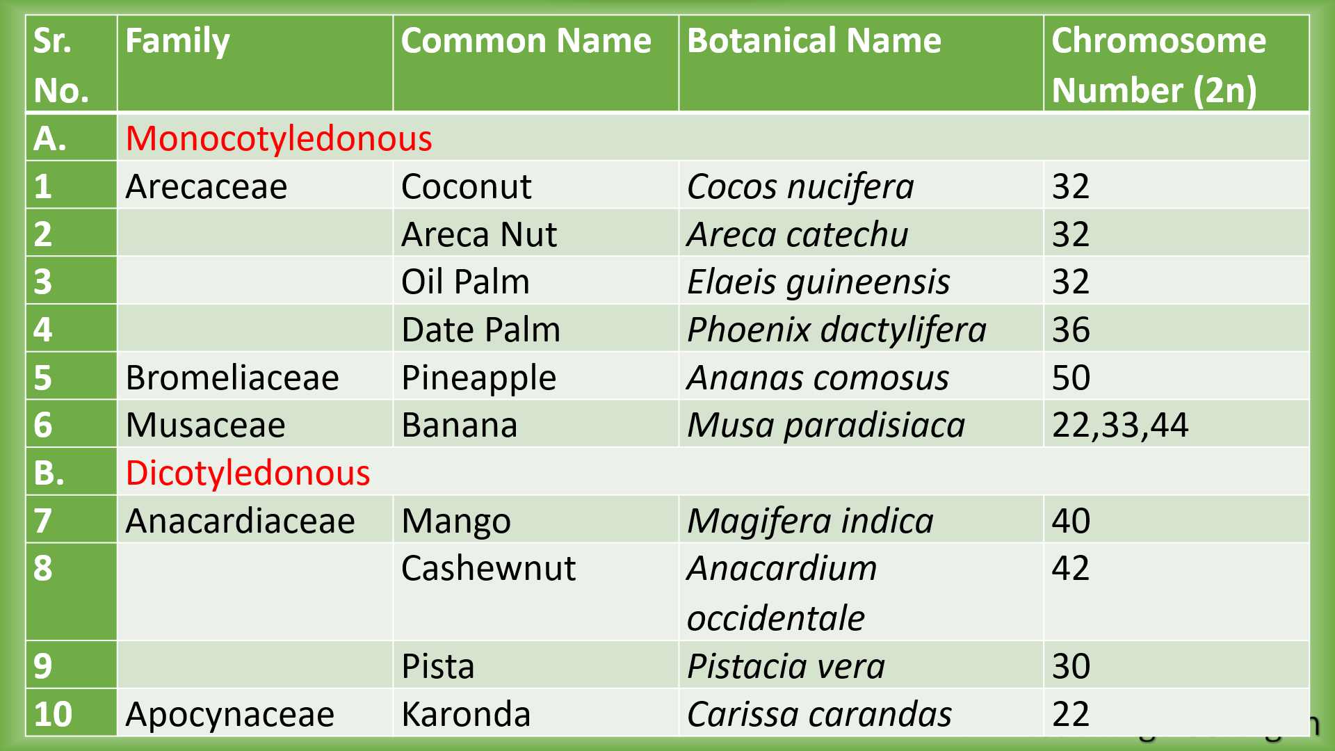 Horticultural and Botanical Classification of Fruits PPT