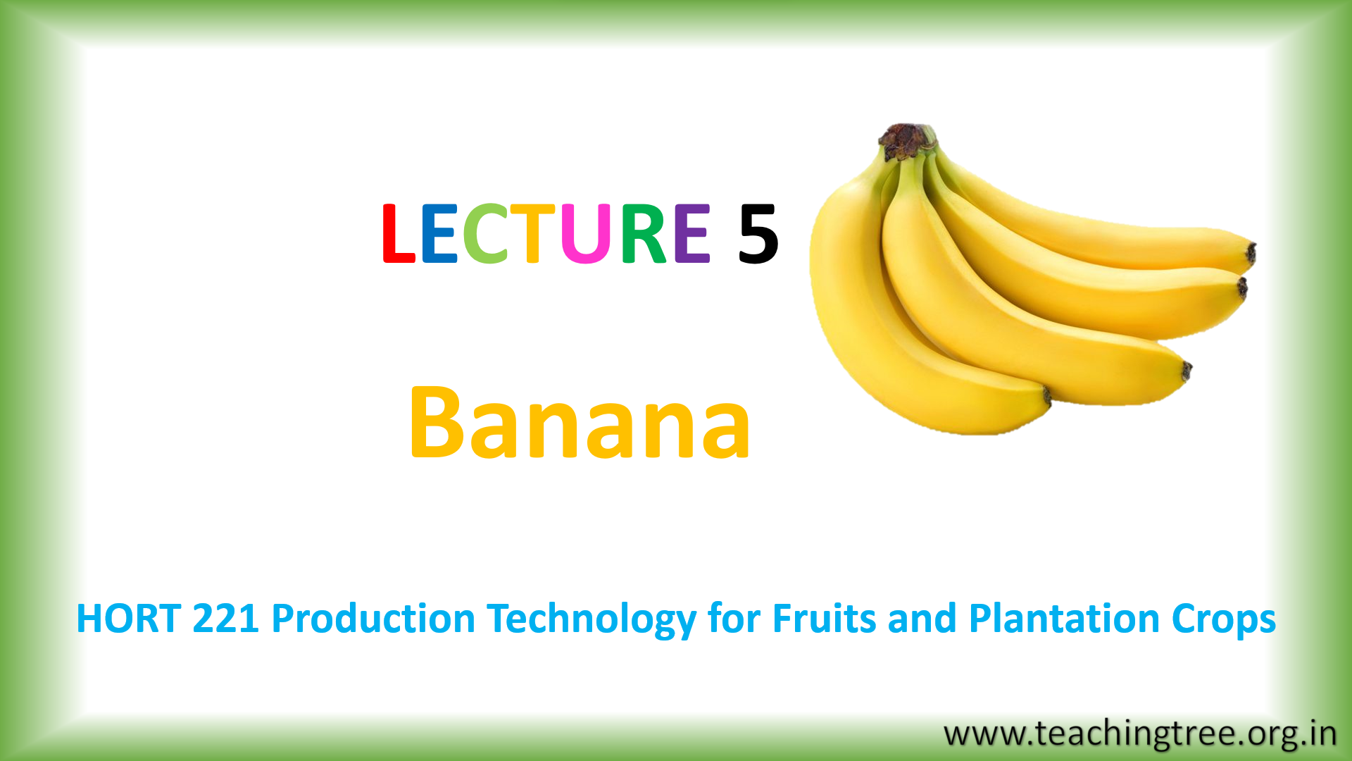 Banana Cultivation PPT