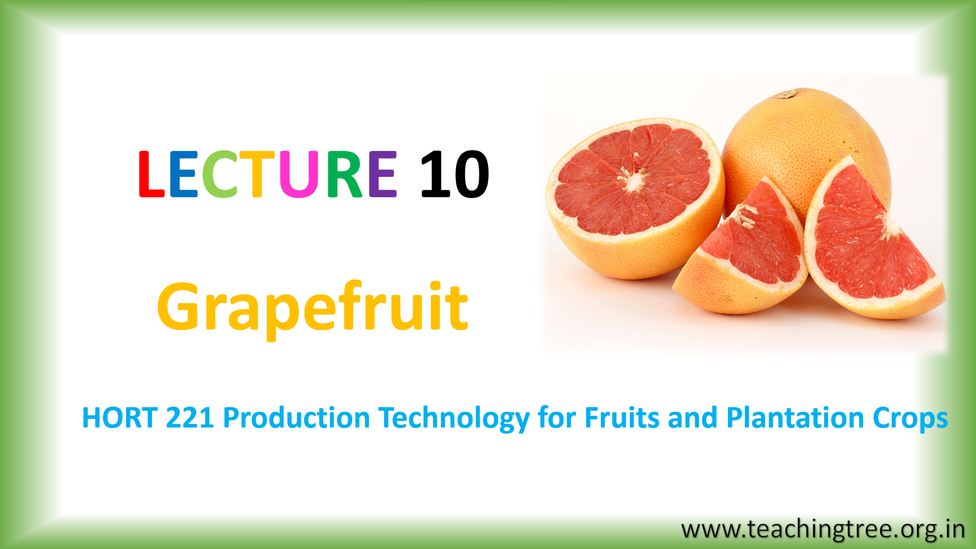 Grapefruit PPT