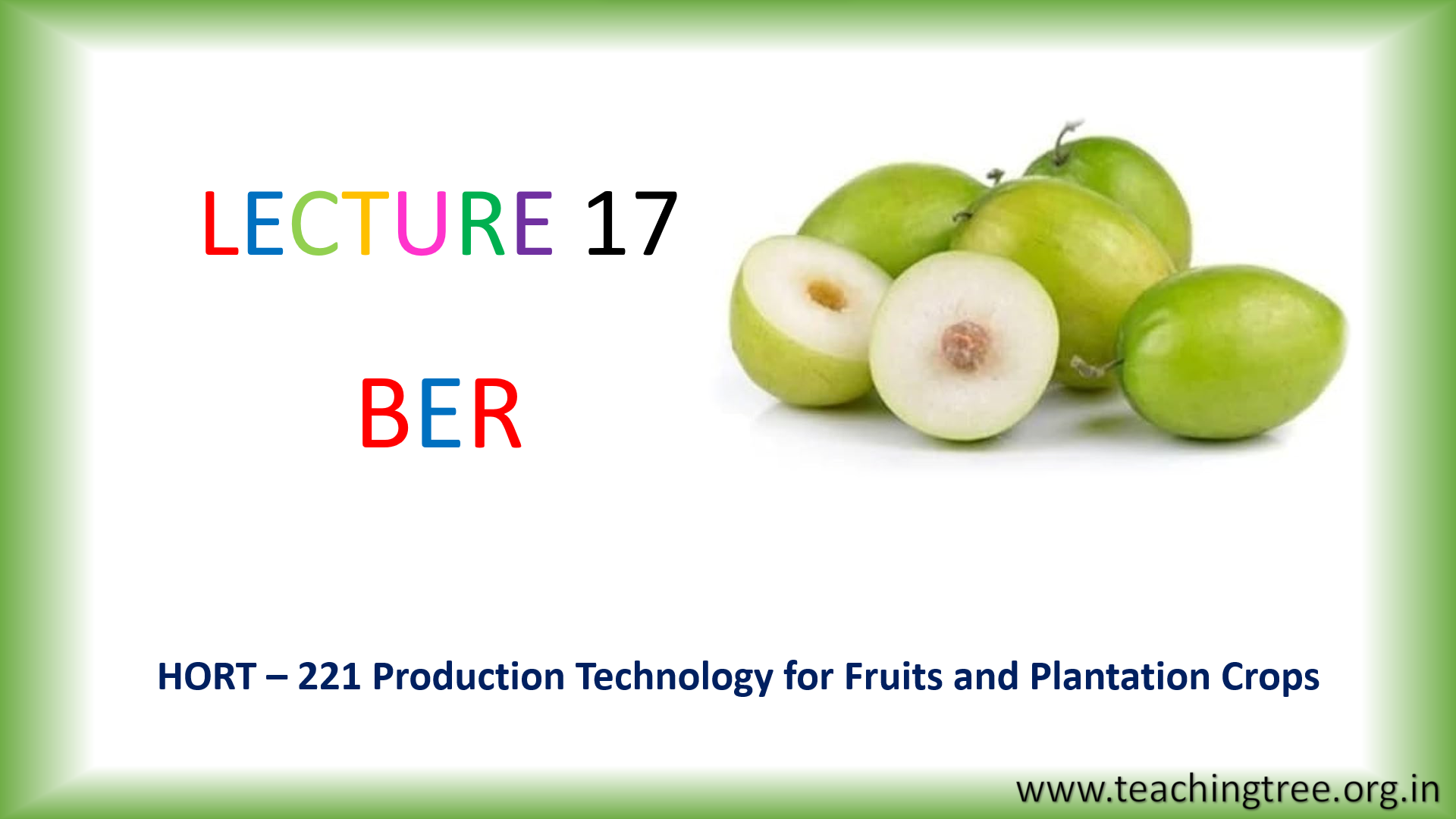 Ber Cultivation PPT