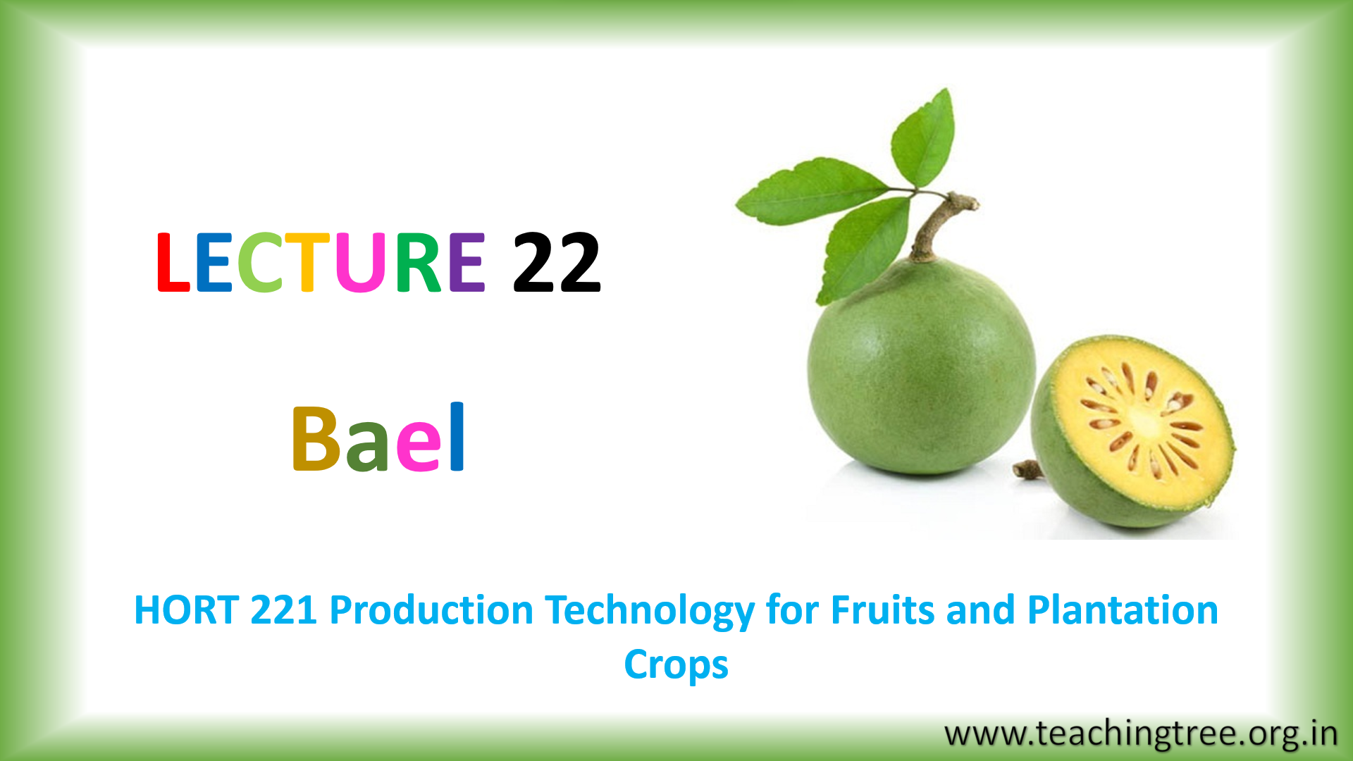 Beal Cultivation PPT